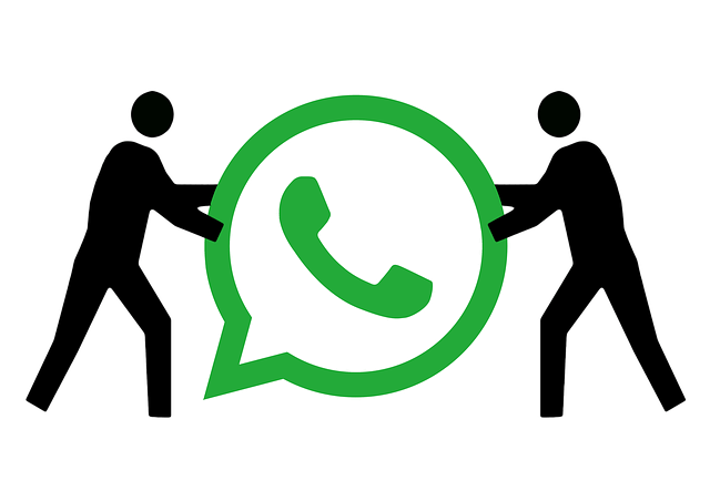 Faça contato pelo whatsapp. Faça contato pelo whatsapp.
