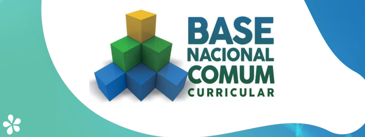 base nacional comum curricular bncc